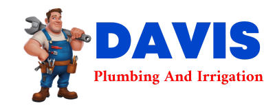 Trusted plumber in LOYSBURG